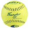 Slowpitch Softballs Dudley Thunder SY11 USSSA Classic W Slowpitch Softball - One Dozen: 4U542Y 1 Slowpitch Softballs Dudley Thunder SY11 USSSA Classic W Slowpitch Softball - One Dozen: 4U542Y