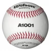 Wilson Sporting Goods Wilson A1001BFS Collegiate Baseball (Dozen): WTA1001BFS