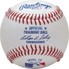 Rawlings Training Baseball Level 10 (Dozen): ROTB10 2 Rawlings Training Baseball Level 10 (Dozen): ROTB10