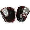 Miken Player Series 14 Inch Slowpitch Softball Glove: PS140PH