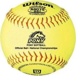Wilson Sporting Goods Fastpitch Softballs Wilson A9075BSST Pony League Fastpitch Softball 12 Inch: One Dozen
