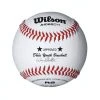 Wilson Sporting Goods Wilson A1062BDY1 Dixie Youth Baseball (Dozen)